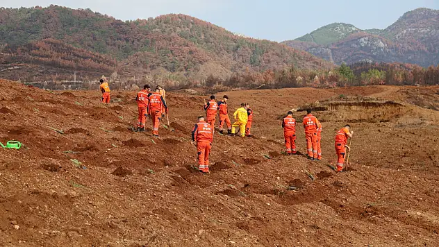 On binlerce fidan toprakla buluşacak
