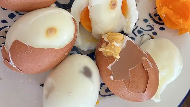 Organik Diye Satılan Yumurtalar Bozuk Çıktı