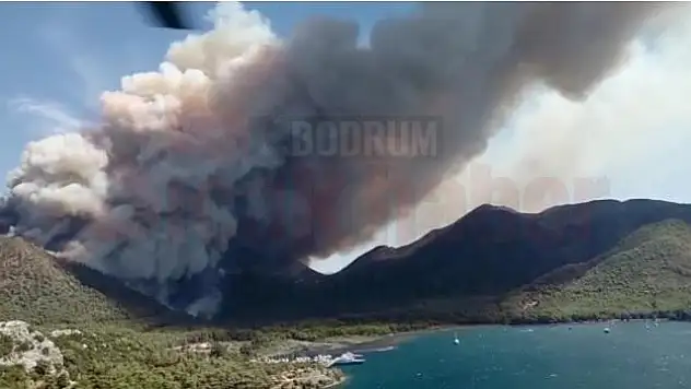 Orman Bölge Müdürlüğü Yangınlar ile İlgili Açıklamada Bulundu