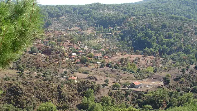 ORMAN KÖYLÜSÜNE %70 İNDİRİM