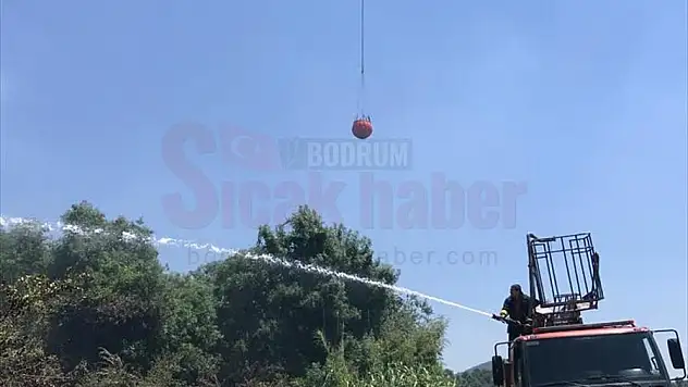 Orman ve makilik alanda yangın başladı