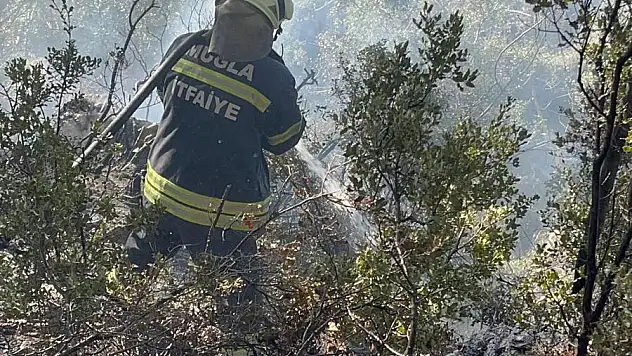 Orman Yangını Kısa Sürede Söndürüldü