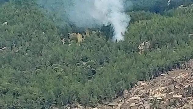 Orman yangını kontrol altına alındı