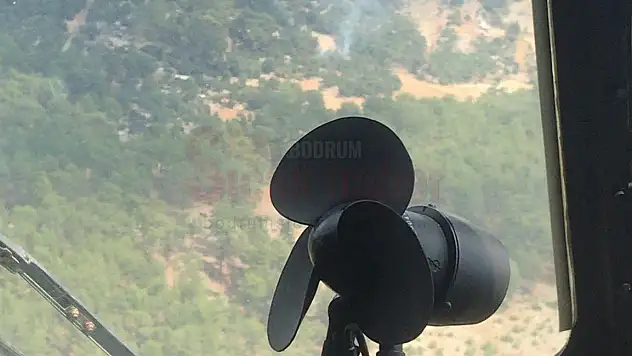 Orman Yangını Kontrol Altına Alındı