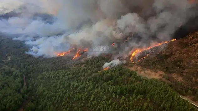 Orman Yangınına Havadan ve Karadan Müdahale
