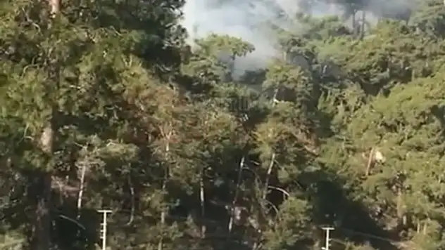 Orman yangınında 1 hektarlık alan zarar gördü.