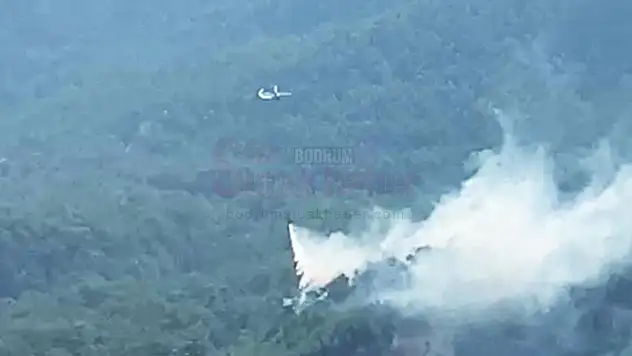 Orman Yangınında 5 Dekar Alan Zarar Gördü