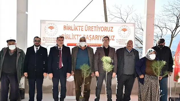 Orman yangınlarının açtığı yaraların sarılmasına devam ediliyor...