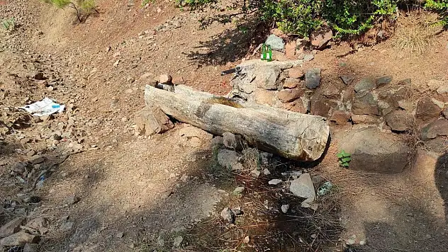 Ormana Bırakılan Bebekle İlgili 2 Şüpheli Tutuklandı