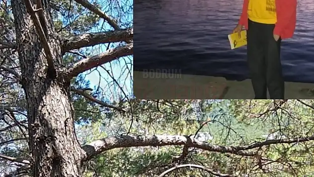 Ormanda Ağaca Asılı Halde Bulundu