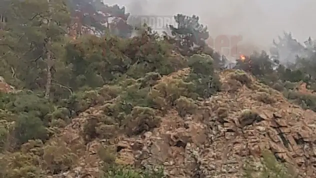 Ormanlık Alanda Çıkan Yangın Devam Ediyor