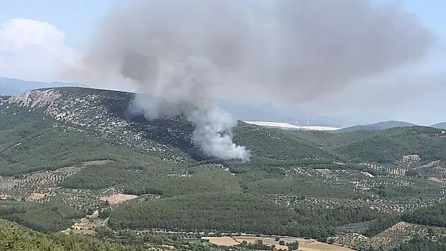Ormanlık Alanda Çıkan Yangın Kontrol Altına Alınmaya Çalışılıyor