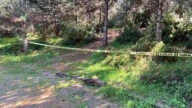 Ormanlık Alanda Kadın Cesedi Bulundu
