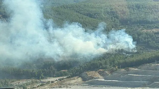 Ormanlık Alanda Yangın Çıktı