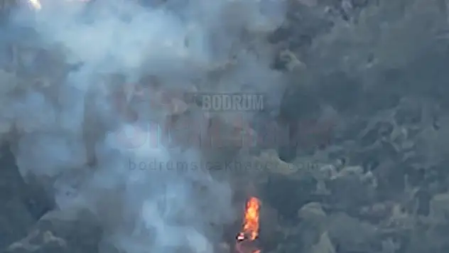 Ormanlık Alanda Yangını Çıktı