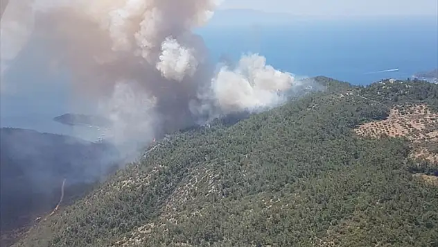 Ormanlık alandaki yangına müdahale ediliyor