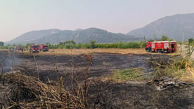Ortaca'da sazlık yangını