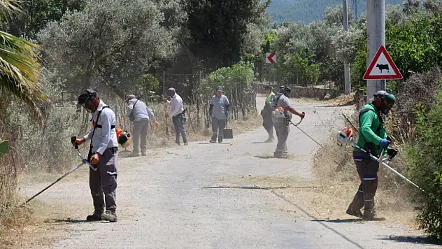 Ot temizliği ve budama çalışmaları devam ediyor