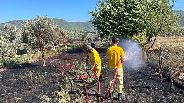 Otluk Alanda Çıkan Yangın, Orman Ekiplerinin Erken Müdahalesiyle Söndürüldü