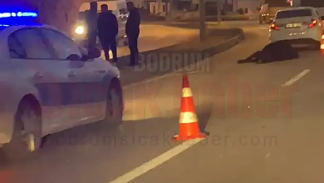 Otomobil İneğe Çarpıp Telef Etti