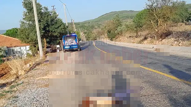 Otomobil Sürüye Daldı, 4 Keçi Telef Oldu