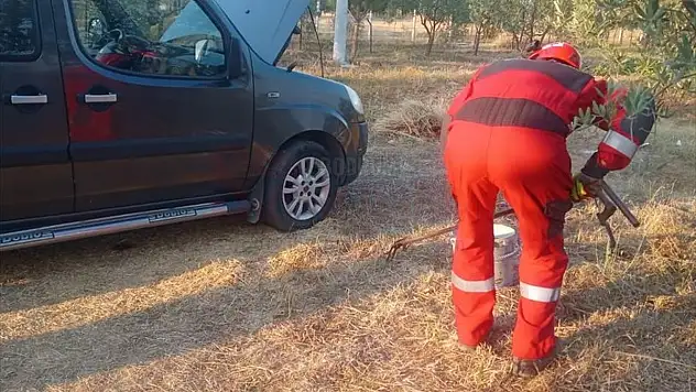 Otomobilin Motoruna Giren Yılan İtfaiye Ekiplerince Çıkarıldı