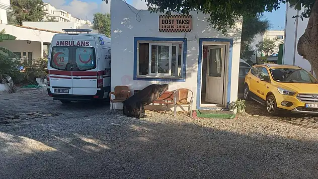 Oturduğu Yerde Hayatını Kaybetti