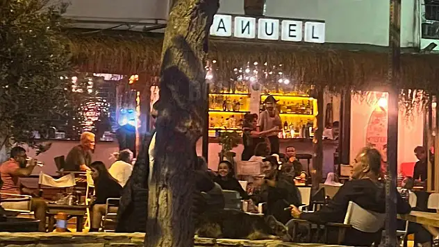 Özgü Namal Bodrum'da Görüntülendi