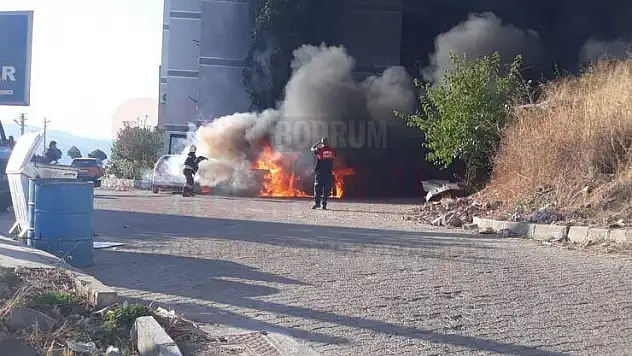 Park Halindeki Üç Araç Alevlere Teslim Oldu