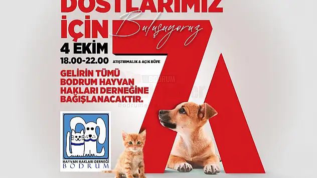 Pati Dostları Sokak Canları için Eskici Black7'da Buluşuyor