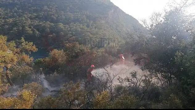 Peksimet 'teki Makilik Alanda Yangın