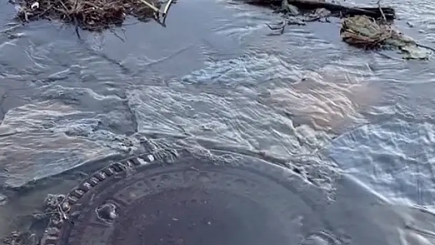 Pis su denize akıyor, koku sahili sardı!