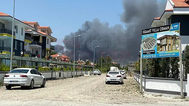 Plastik atık deposunda çıkan yangın ormana sıçradı
