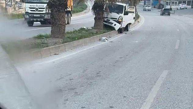 Refüje Çıkıp Ağaca Çarparak Durdu
