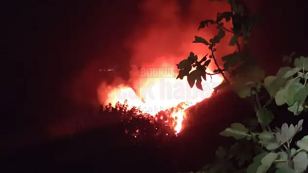 Sabaha Karşı Bodrum'da Ormanlık Alanda Yangın Çıktı