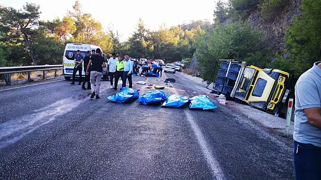 Safari Turunda Devrilen Cip'te  5 Yabancı Uyruklu Kişi Öldü