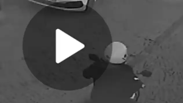 Sahipli Kediye Çarpıp Arkasına Bakmadan Gitti