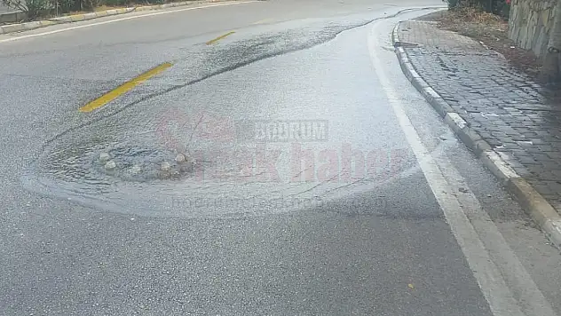 Sayın Müdür Buda mı Demagoji