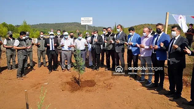 Şehit Astsubay Ömer Halisdemir Hatıra Ormanı'na fidan dikildi