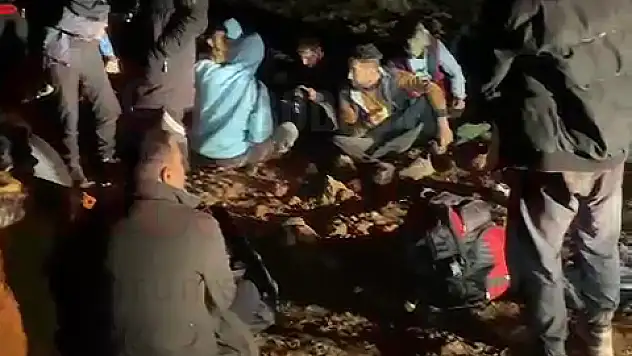 Seyir Halindeki Kamyondan 80 Göçmen Çıktı