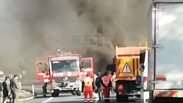 Seyir Halindeki Tomruk Yüklü Tır Alev Aldı