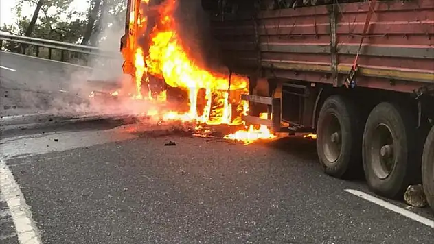 Seyir Halindeki Tomruk Yüklü Tırda Çıkan Yangın Hasara Yol Açtı