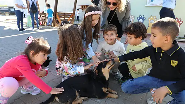 Sıcacık yuvaya kavuşan canlar