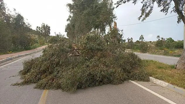 Şiddetli Fırtına Sebebi ile Ağaçlar Kırıldı Yollar Kapandı