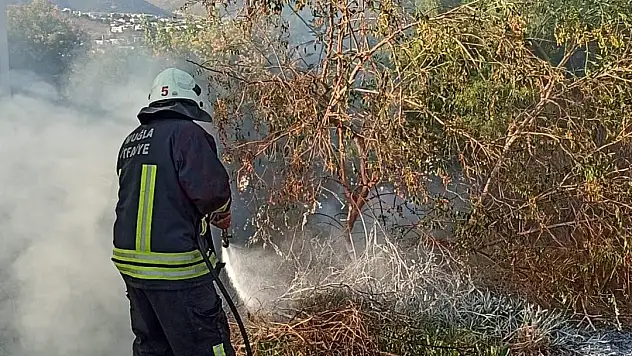Sigara İzmariti Yangına Sebep Oldu