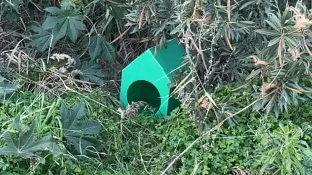 Ortakent'in gizli kahramanı: Kedilere sıcak yuva ve mama desteği