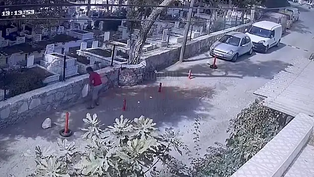 Sokak Hayvanları İçin Konulan Mama Kaplarını Çaldı