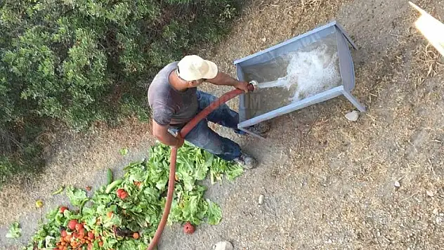 Sokak Hayvanlarına Devamlı Su ve Yemek Veriyorlar