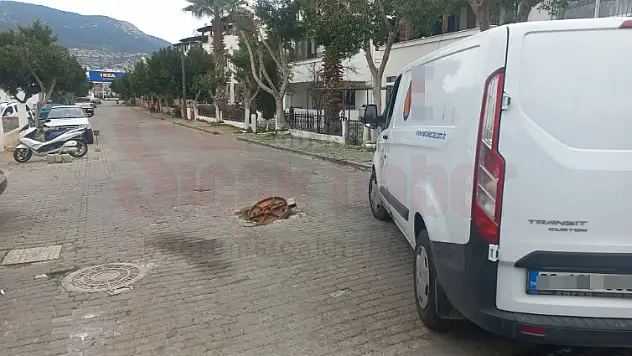 Sokak Ortasındaki Tehlikeyi Yetkililer Görmüyor mu