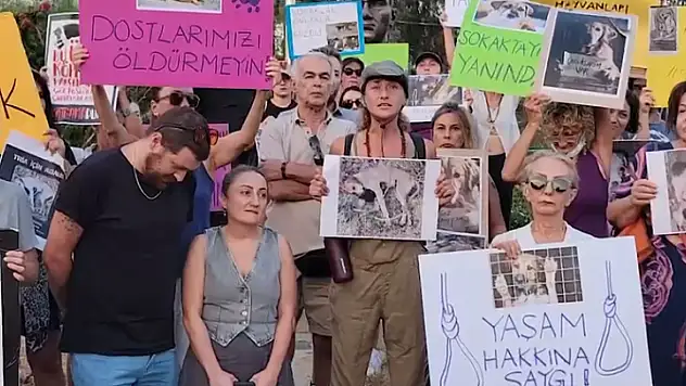 Son Günlerde Artan Saldırılara Tepki Gösterdiler